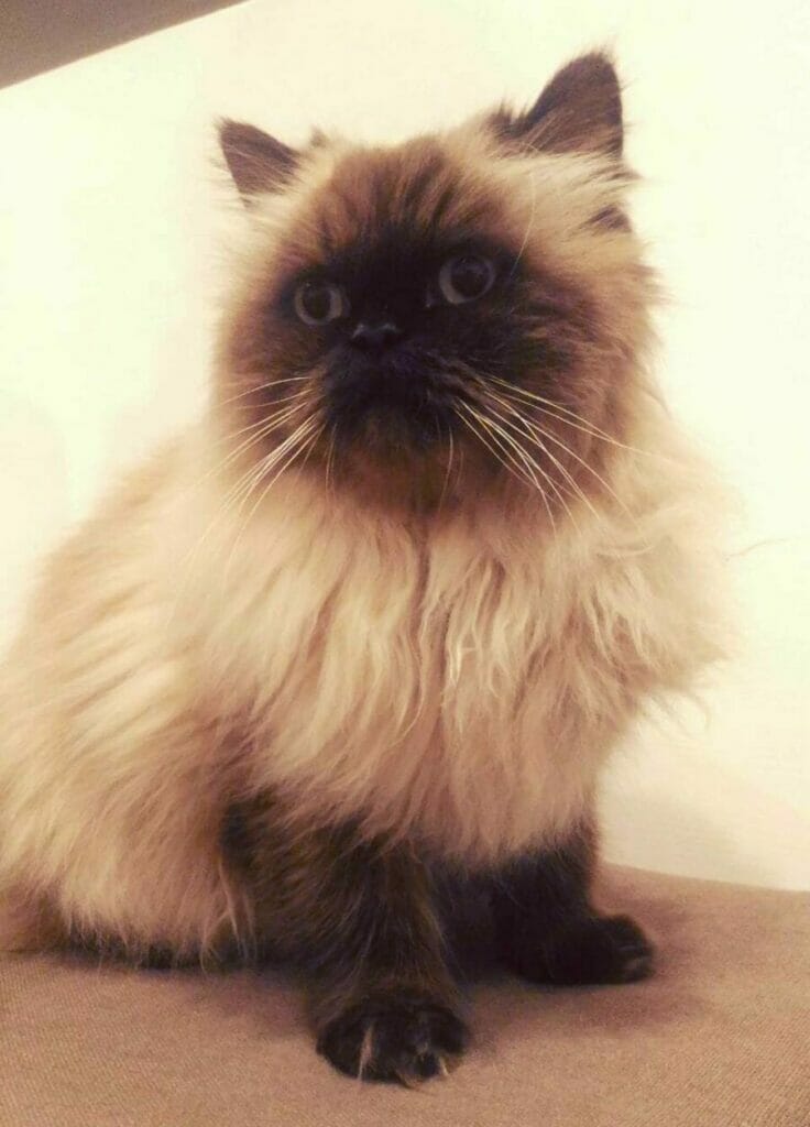 I'm there for you--the whole you | curaJOY 326aa601 309b 4f47 96e0 d593c82ea320 e1687290289945 | curaJOY