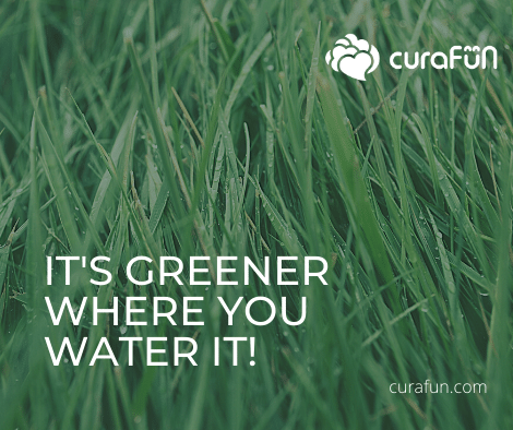 The Constant of Change | curaJOY grass2 | curaJOY