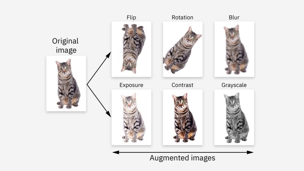 The Hidden Dangers of Data Augmentation | curaJOY Diagram showing an original image of a tabby cat and six augmented images with variations: flip, rotation, blur, exposure, contrast, and grayscale—illustrating data augmentation techniques often used in data science.